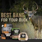 Trophy Rock® Mineral Bundle - Image 6