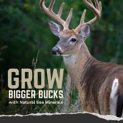 Trophy Rock® - Best Selling Deer Mineral - Image 6