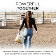Daily Gold® Paste - Digestive Stress Relief for Horses - Image 6