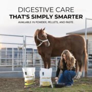 Daily Gold® Paste - Digestive Stress Relief for Horses - Image 7