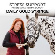 Daily Gold® Paste - Digestive Stress Relief for Horses - Image 8