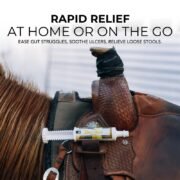 Daily Gold® Paste - Digestive Stress Relief for Horses - Image 10