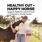 Daily Gold® Mood Support - Horse Gut Supplement - Image 3