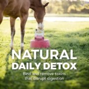Daily Gold® Mood Support - Horse Gut Supplement - Image 5