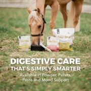 Daily Gold® Mood Support - Horse Gut Supplement - Image 7