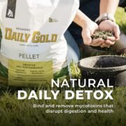Daily Gold® - Horse Gut Supplements - Image 12