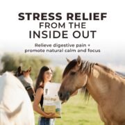 Daily Gold® - Horse Gut Supplements - Image 9