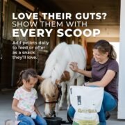 Daily Gold® - Horse Gut Supplements - Image 10
