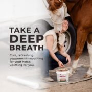 Simply Clay® Horse Poultice - Image 4