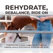 IsoBalance - Horse Electrolyte Paste - Image 5