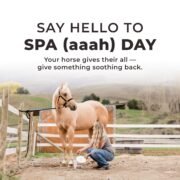 Simply Clay® Horse Poultice - Image 7