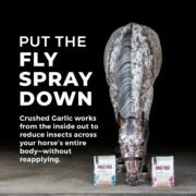 Daily Red® Crushed™ Garlic - Mineral Supplement for Horses - Image 4