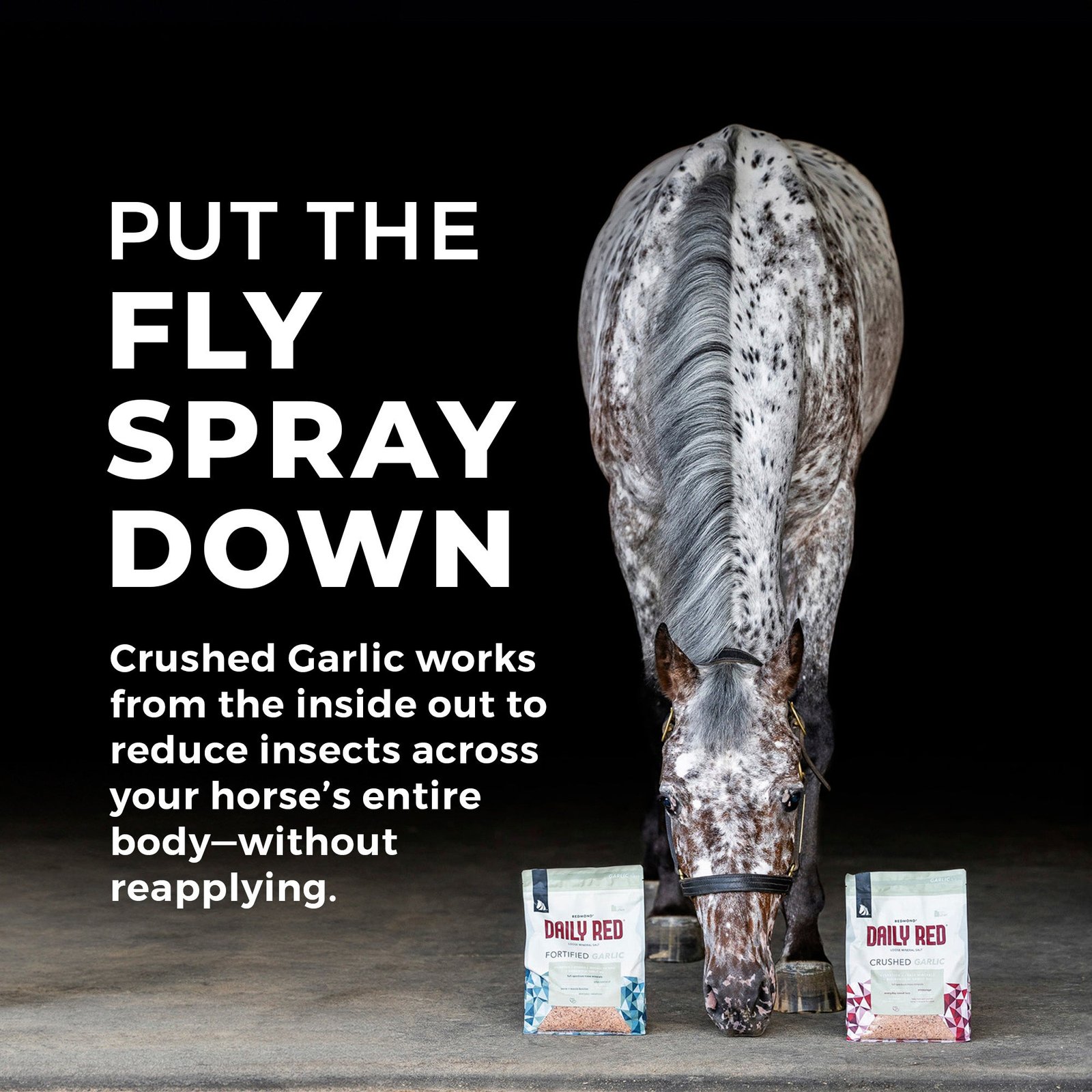 Daily Red® Crushed™ Garlic - Mineral Supplement for Horses - Image 4