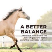 Daily Red® Crushed™ Garlic - Mineral Supplement for Horses - Image 7