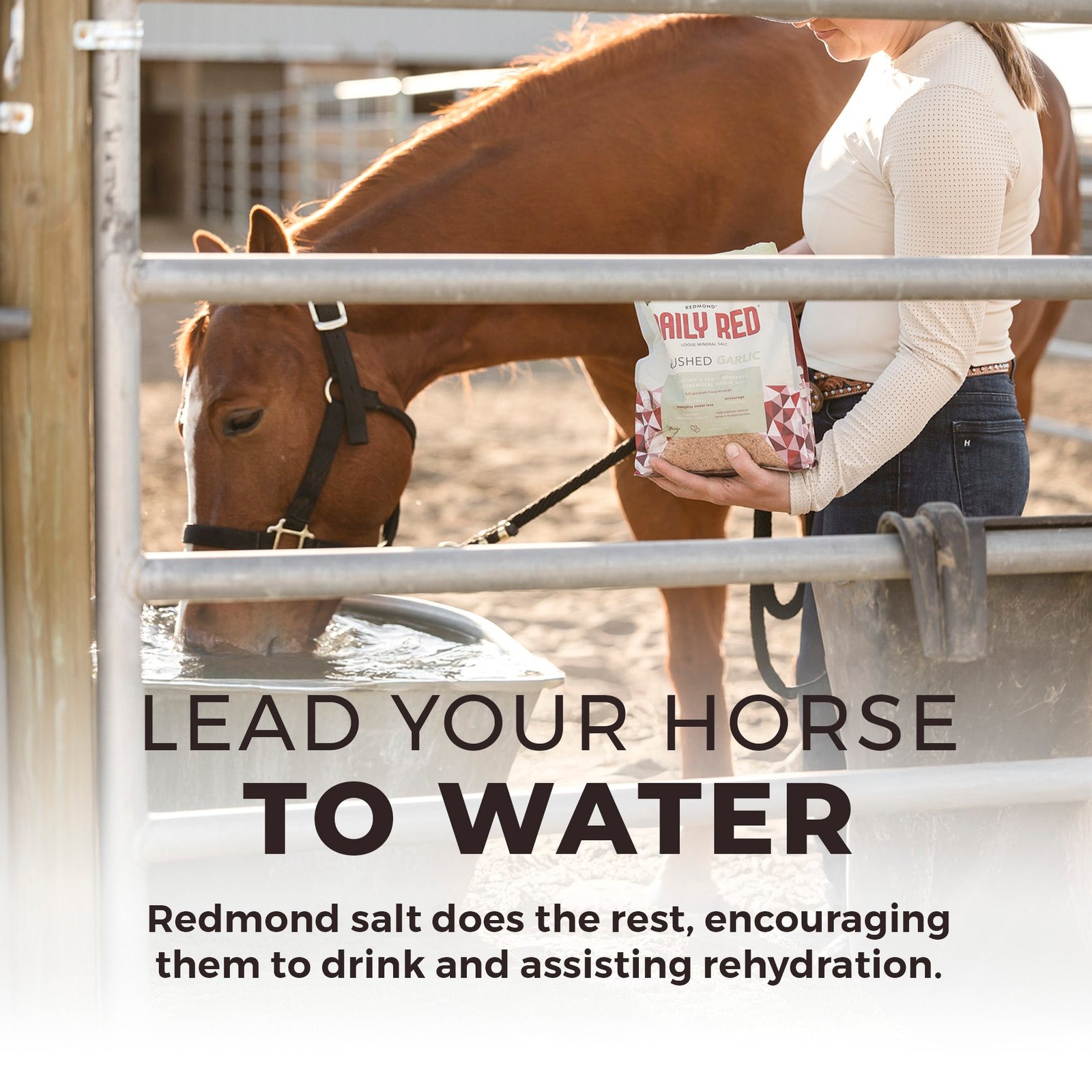 Daily Red® Crushed™ Garlic - Mineral Supplement for Horses - Image 9