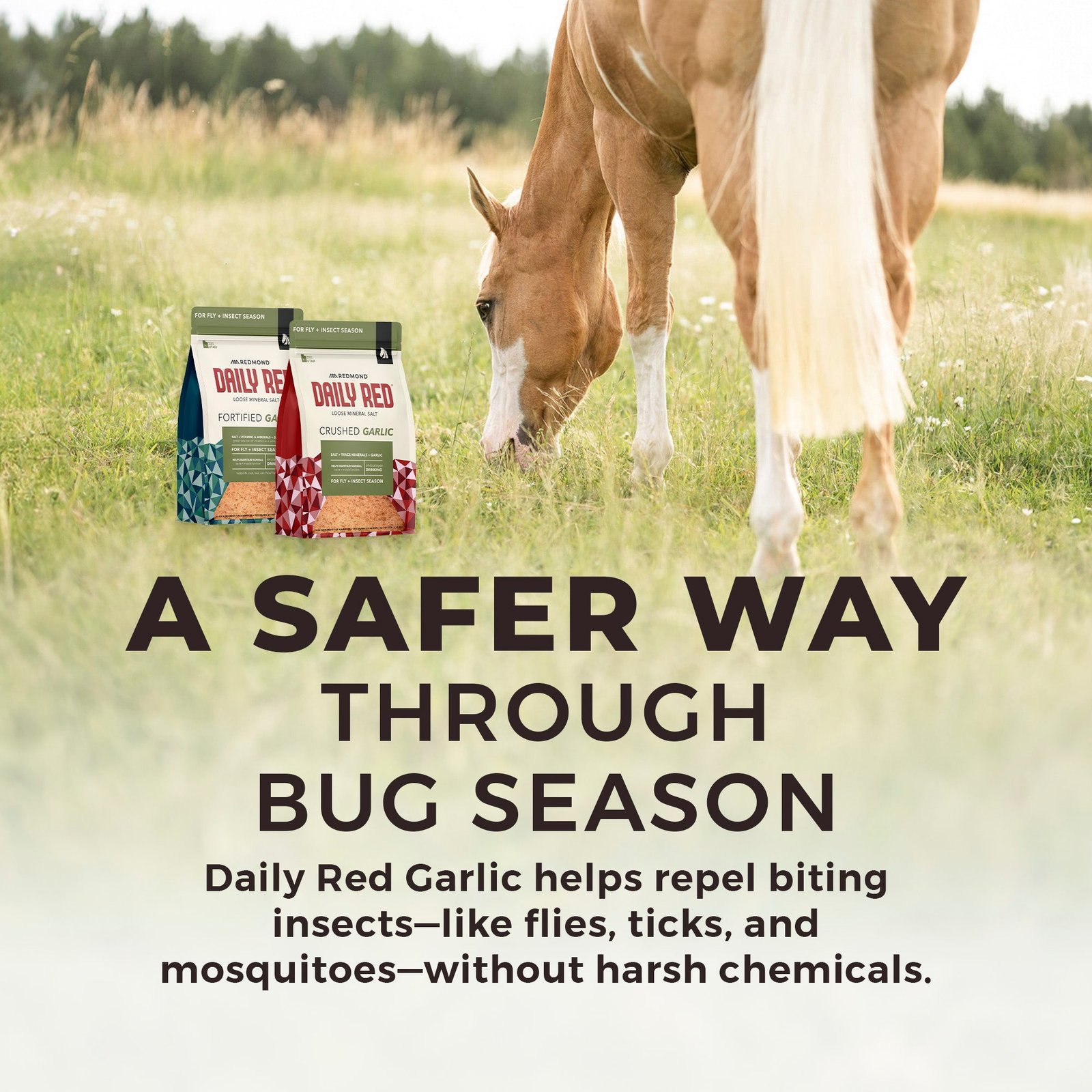 Daily Red® Crushed™ Garlic - Mineral Supplement for Horses - Image 5