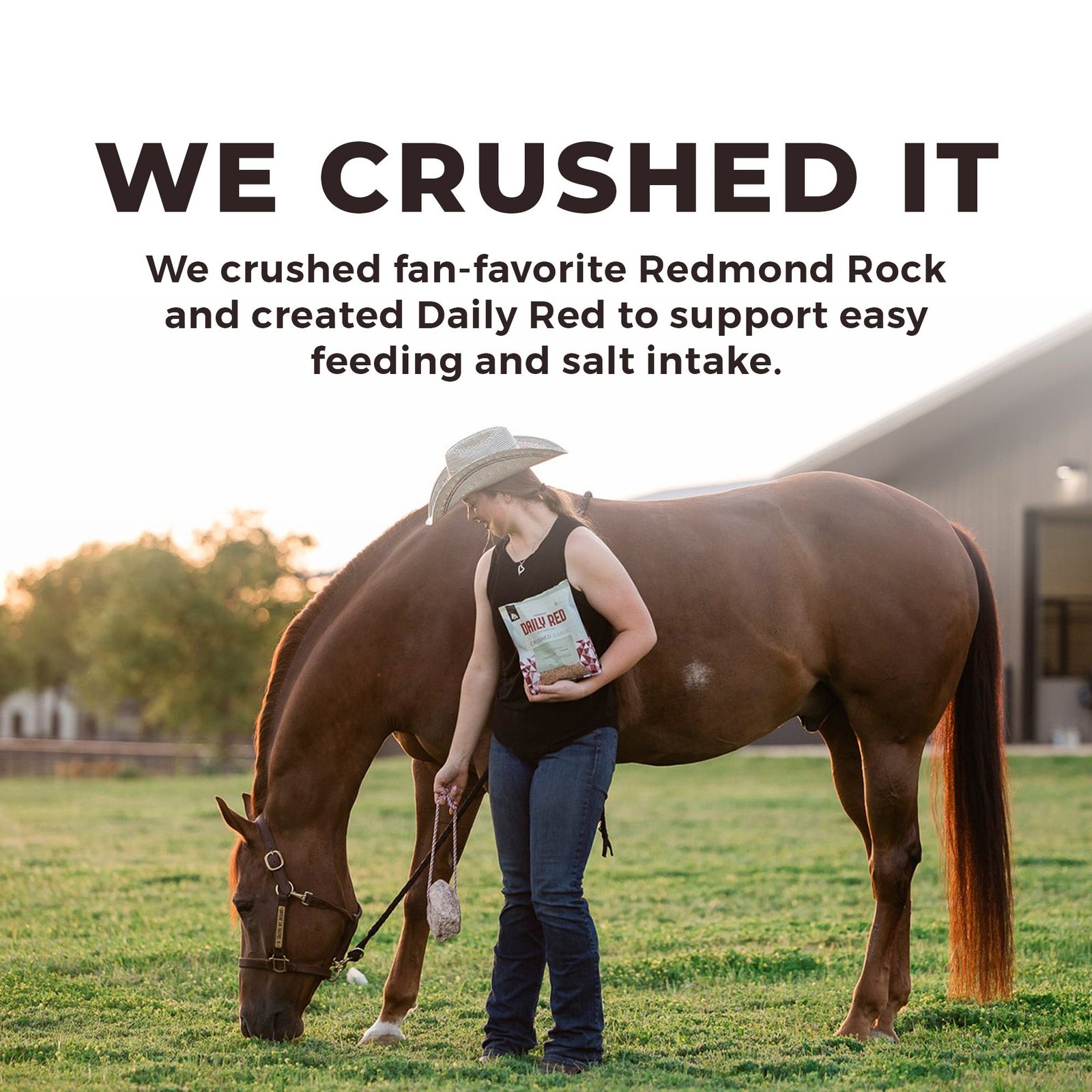 Daily Red® Crushed™ Garlic - Mineral Supplement for Horses - Image 10