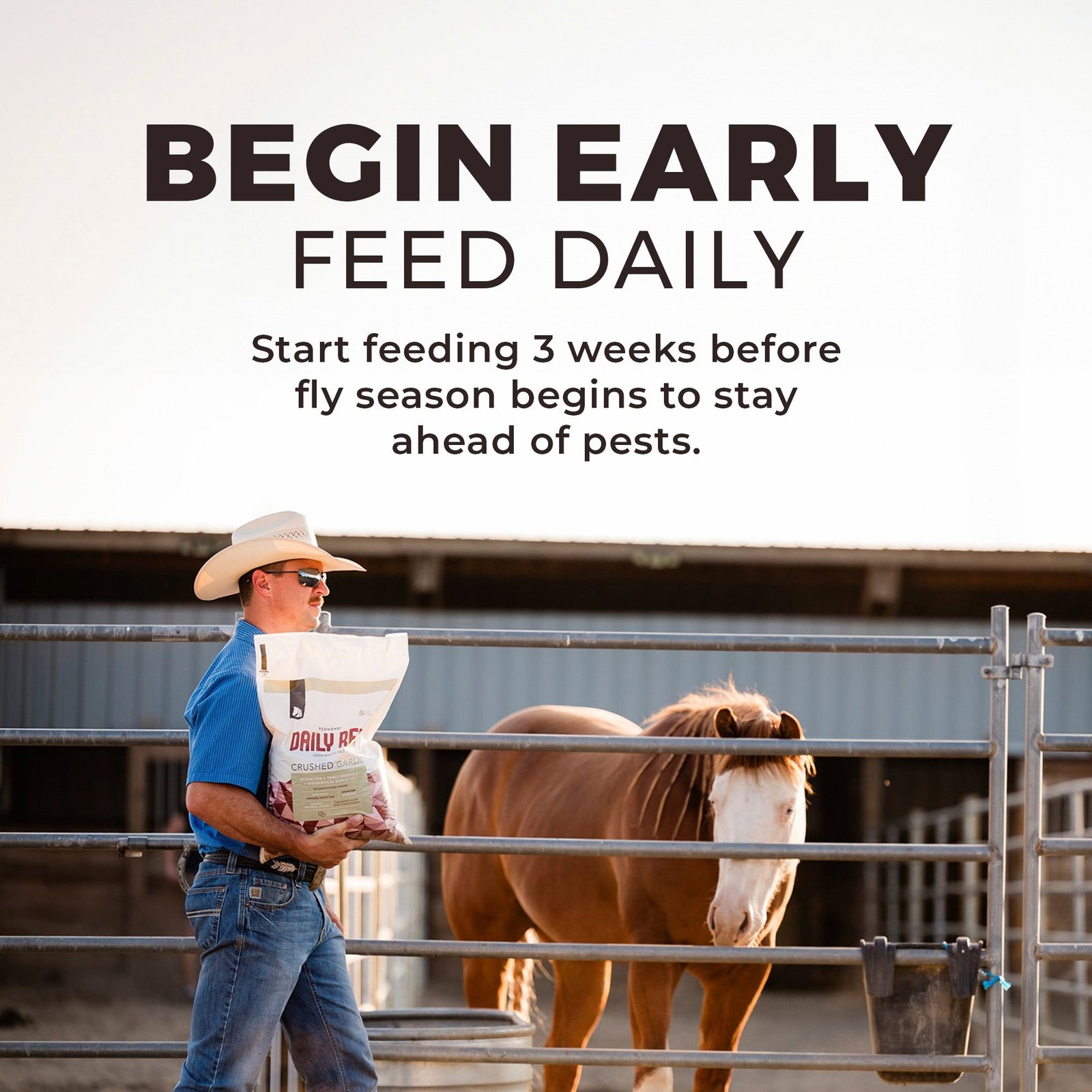 Daily Red® Crushed™ Garlic - Mineral Supplement for Horses - Image 6