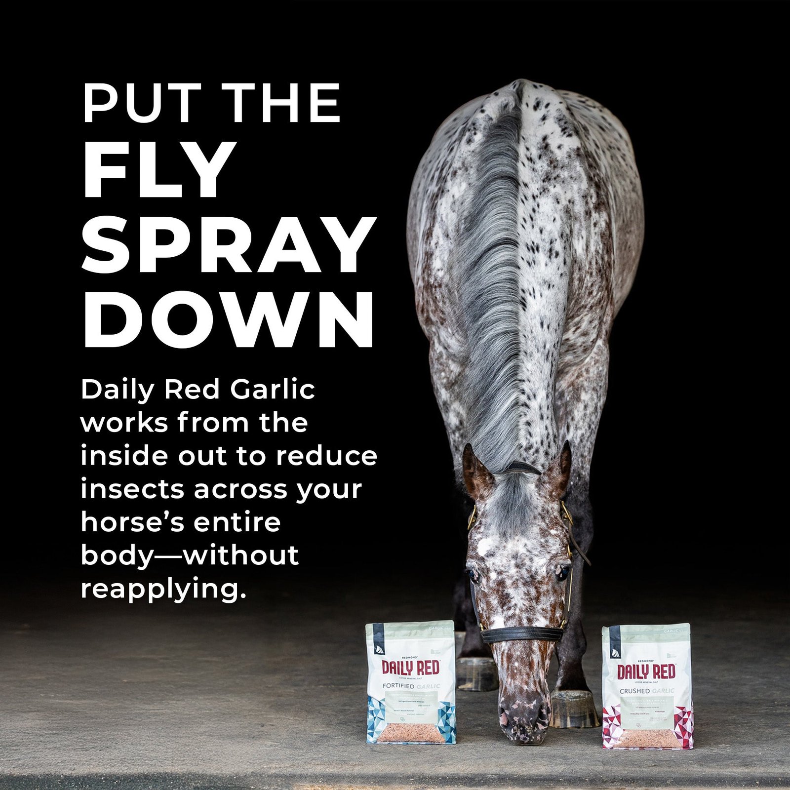 Daily Red® Fortified Garlic - Horse Vitamin & Mineral Supplement - Image 5