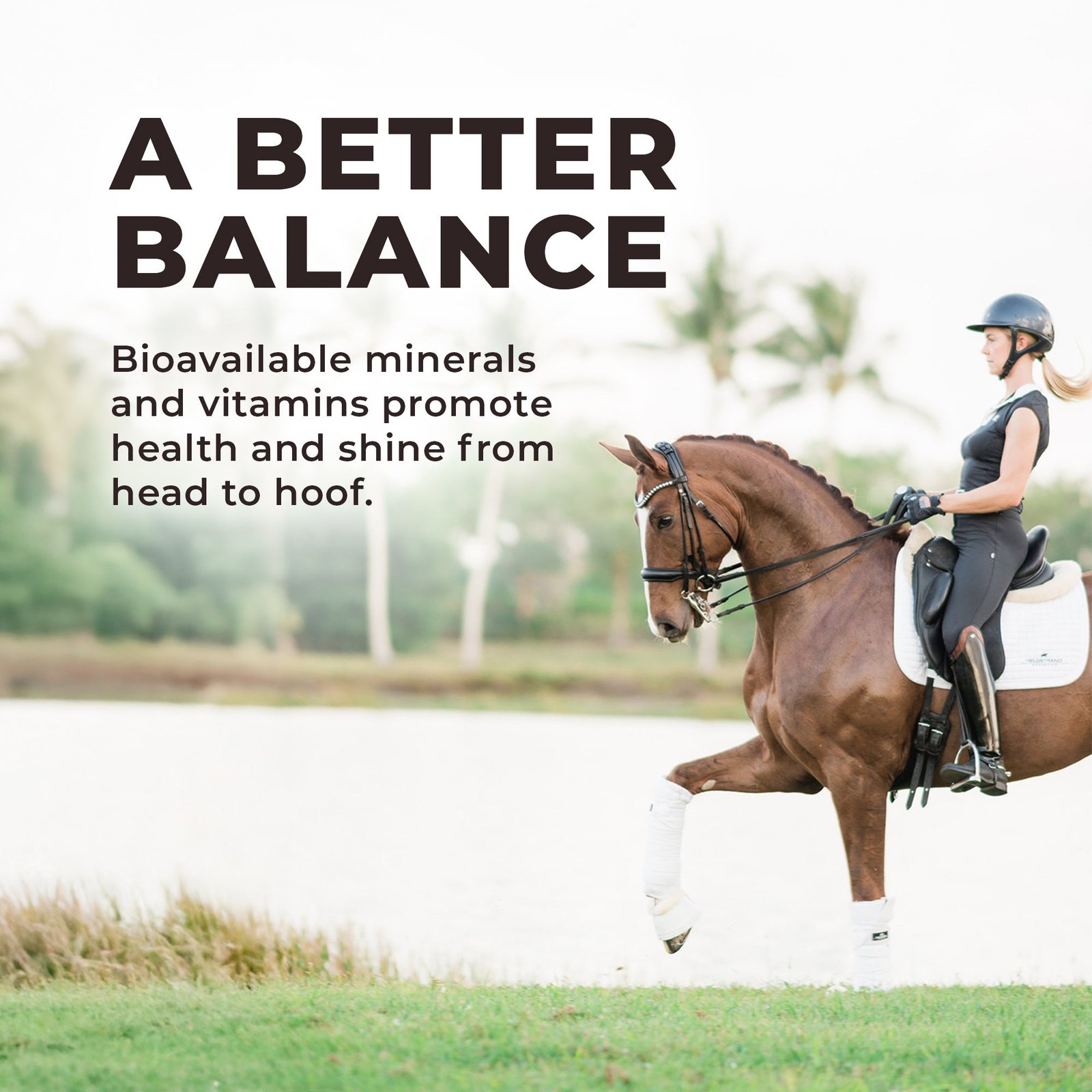 Daily Red® Fortified Garlic - Horse Vitamin & Mineral Supplement - Image 8