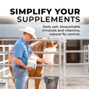 Daily Red® Fortified Garlic - Horse Vitamin & Mineral Supplement - Image 9