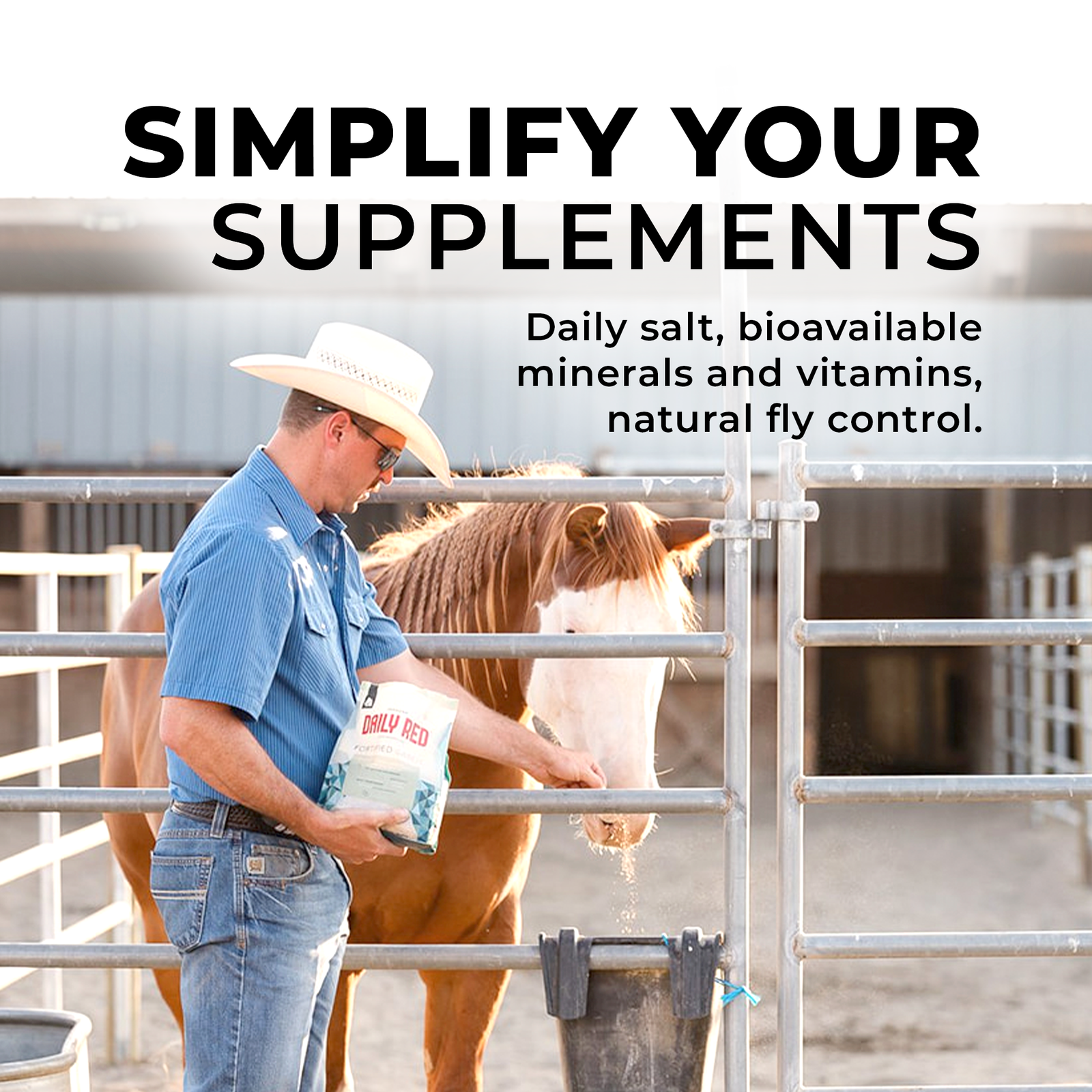 Daily Red® Fortified Garlic - Horse Vitamin & Mineral Supplement - Image 9