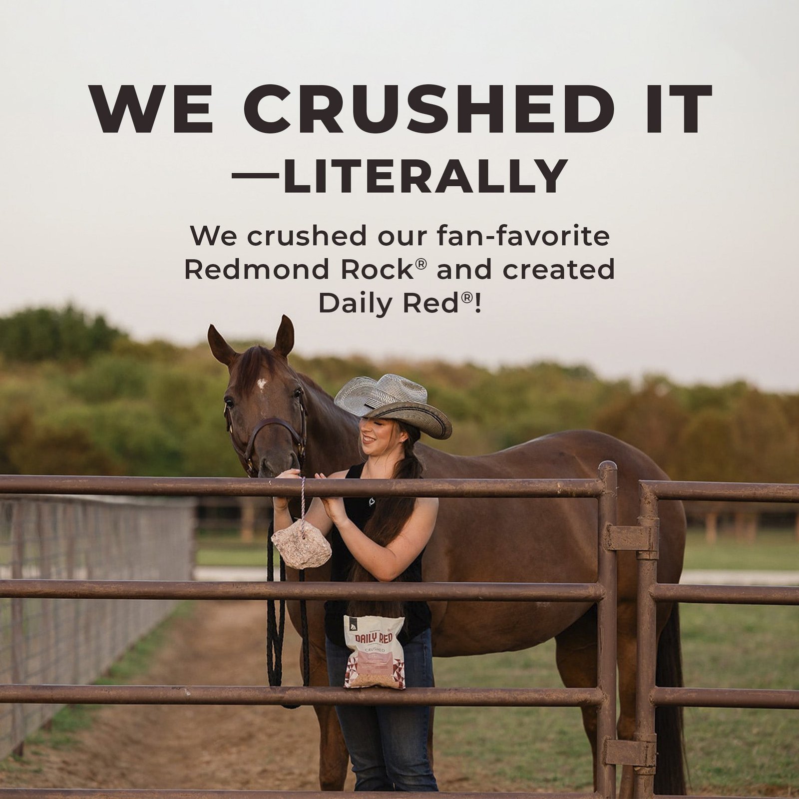 Daily Red® Crushed™ - Mineral Supplement for Horses - Image 4