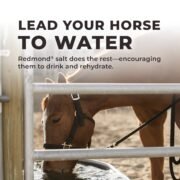 Daily Red® Crushed™ - Mineral Supplement for Horses - Image 7