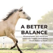 Daily Red® Crushed™ - Mineral Supplement for Horses - Image 5