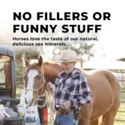 Daily Red® Fortified - Vitamin & Mineral Supplement For Horses - Image 6