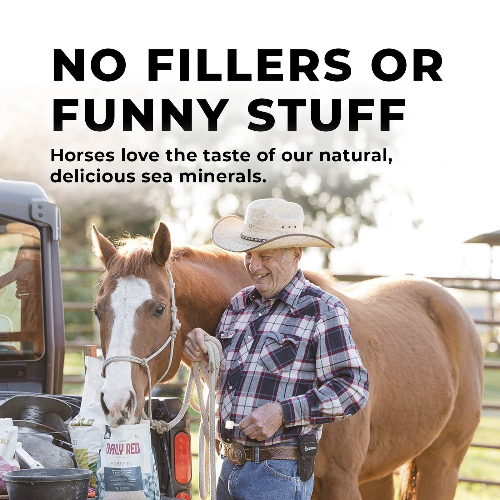 Daily Red® Fortified - Vitamin & Mineral Supplement For Horses - Image 6