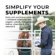 Daily Red® Fortified - Vitamin & Mineral Supplement For Horses - Image 5