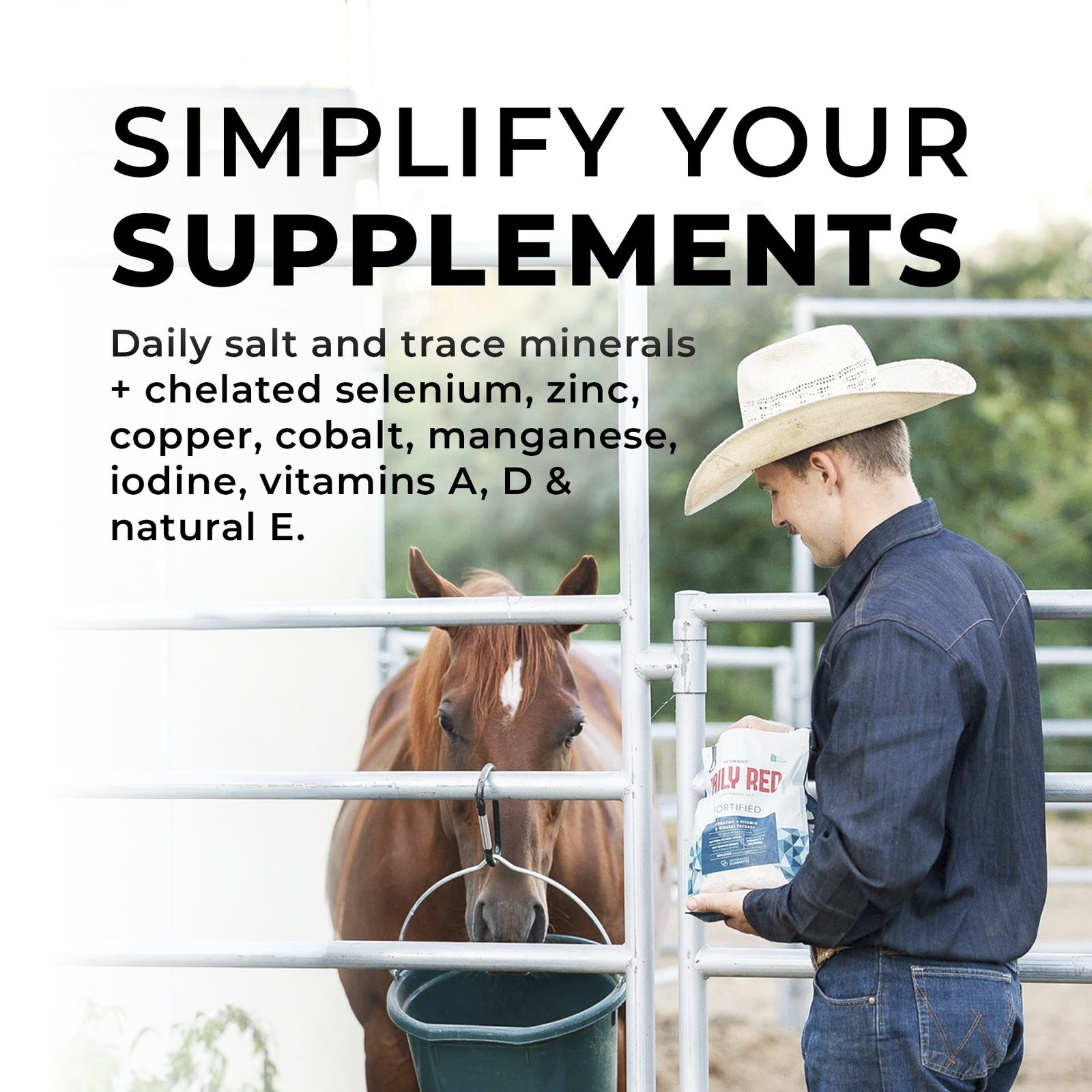 Daily Red® Fortified - Vitamin & Mineral Supplement For Horses - Image 5