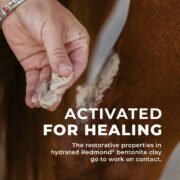 Simply Clay Salve – Bentonite Clay Horse Wound Care - Image 5